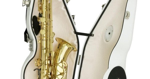 Best Brass e-Sax alto saxophone mute